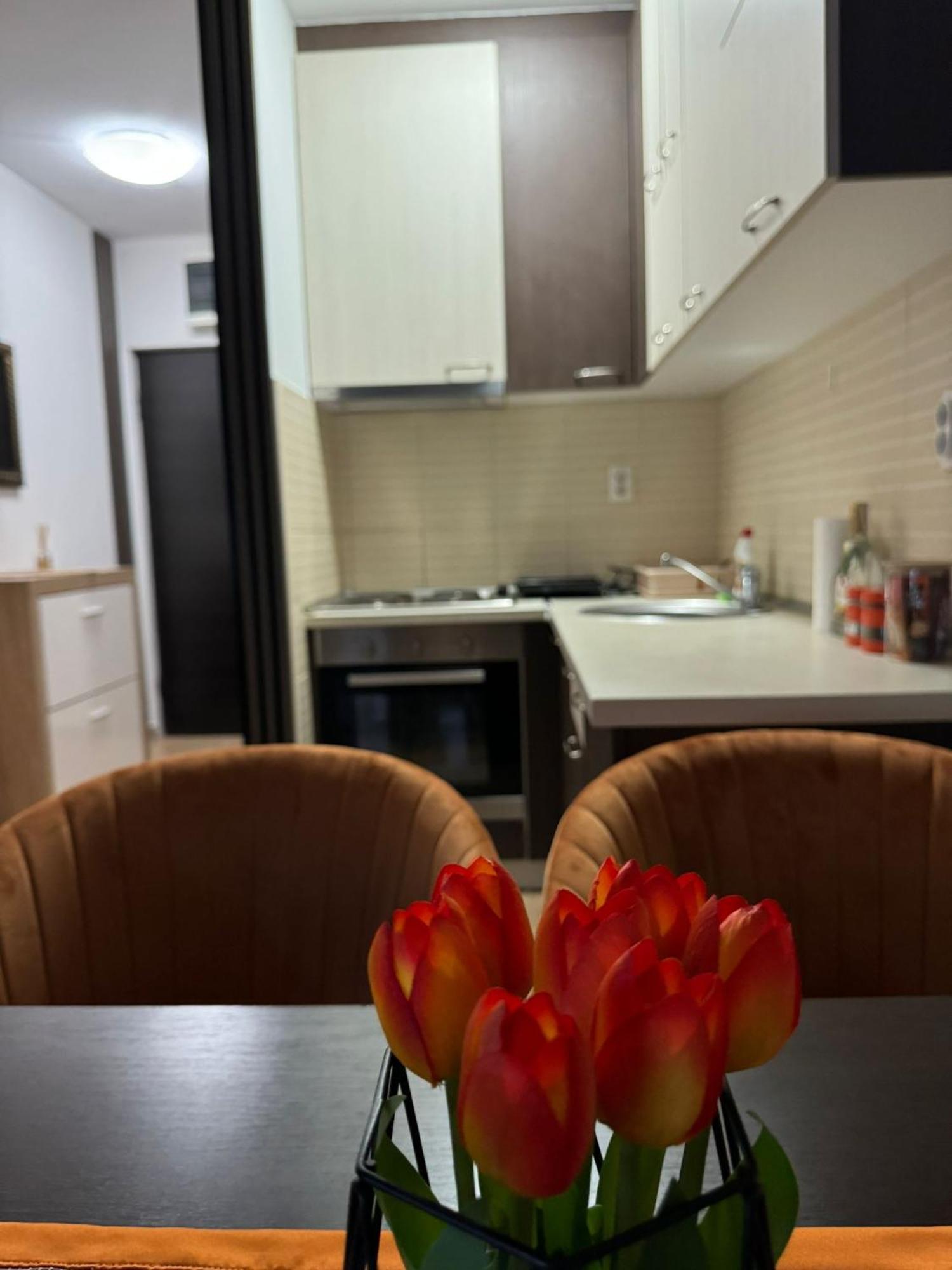 Stan Na Dan Aurora Apartamento Požarevac Exterior foto