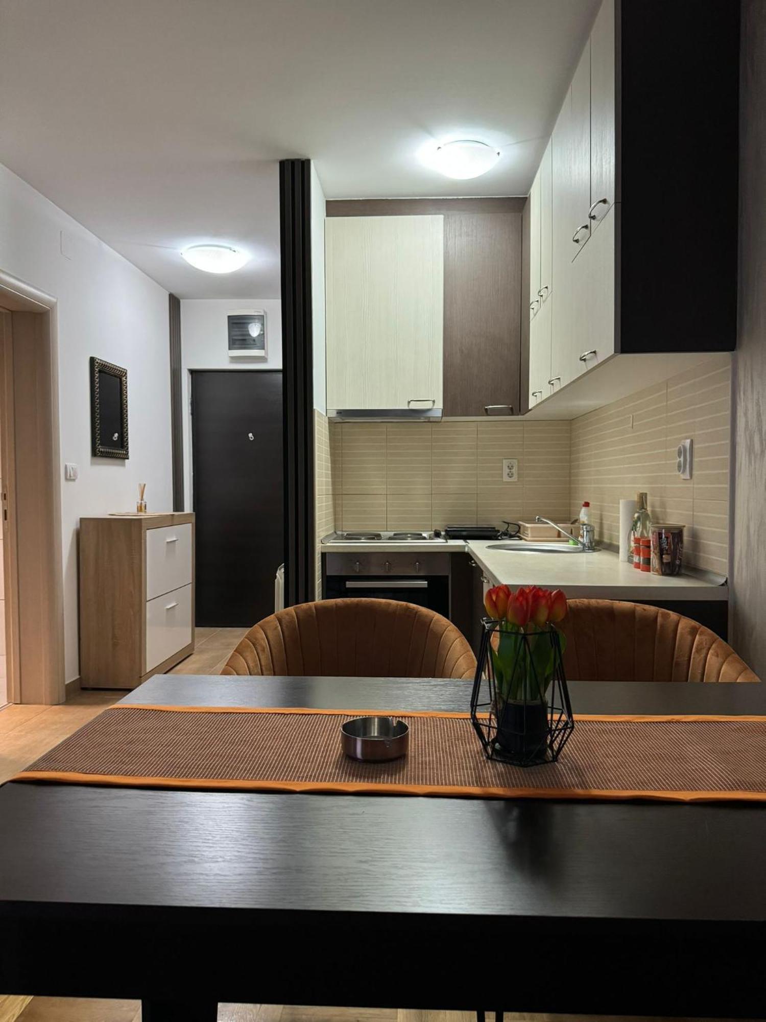 Stan Na Dan Aurora Apartamento Požarevac Exterior foto