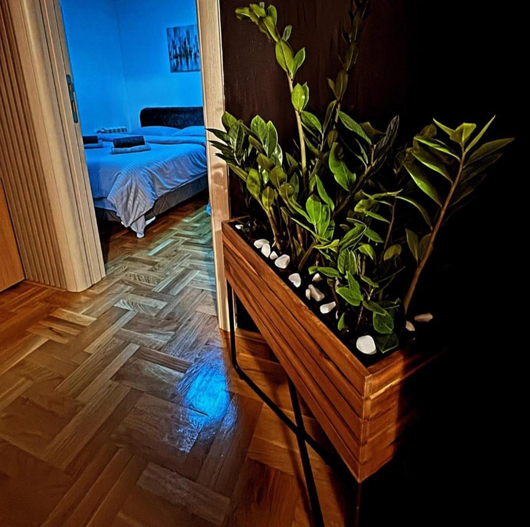 Stan Na Dan Aurora Apartamento Požarevac Exterior foto