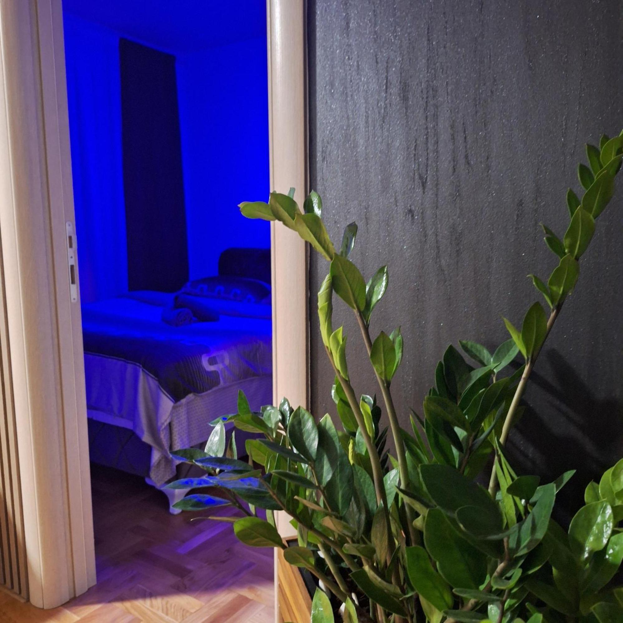 Stan Na Dan Aurora Apartamento Požarevac Exterior foto