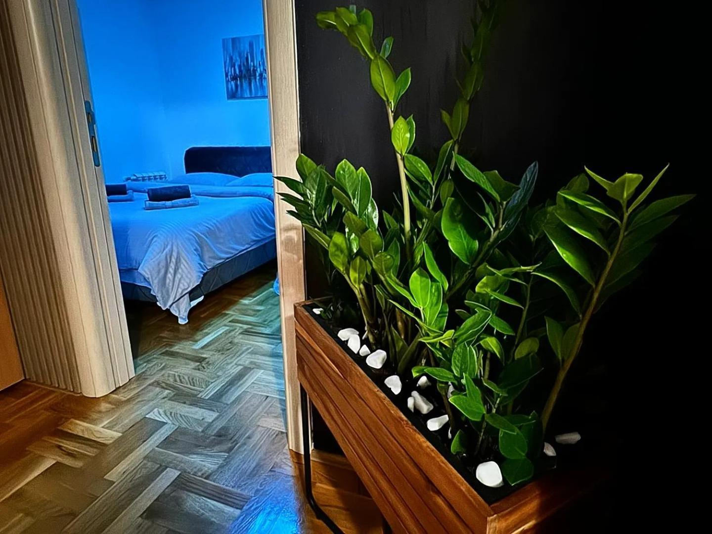 Stan Na Dan Aurora Apartamento Požarevac Exterior foto